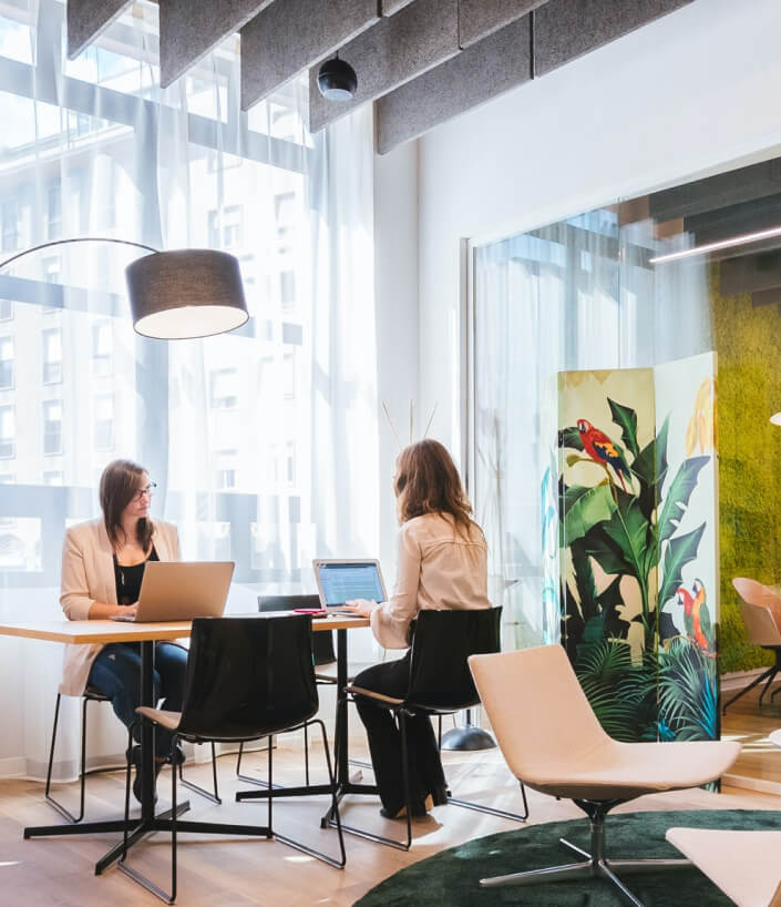 Creative Web Designers in Thunder Bay